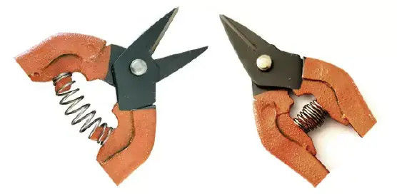 نام