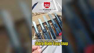 260114-1 SINSEUNG VIDEO